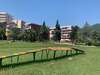 Апартаменты Apartment Oleander Будва-3
